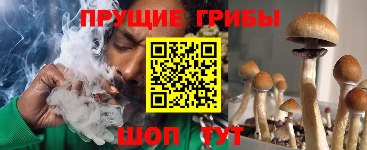 Галлюциногенные грибы Psilocybine cubensis Мытищи